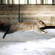 Image for article titled Shooting Challenge: Levitation, Gallery 1